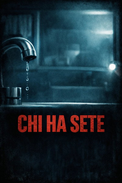 Póster de Chi Ha Sete