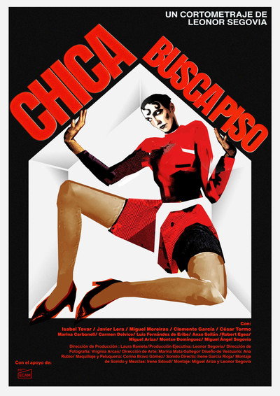 Póster de Chica Busca Piso