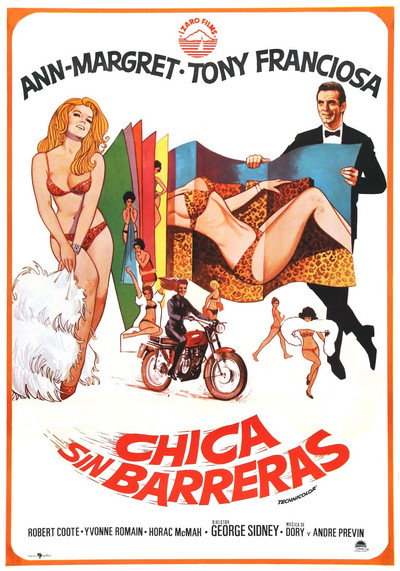 Póster de Chica sin barreras