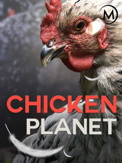 Póster de Chicken Planet