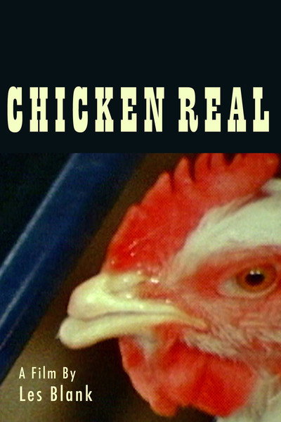 Póster de Chicken Real