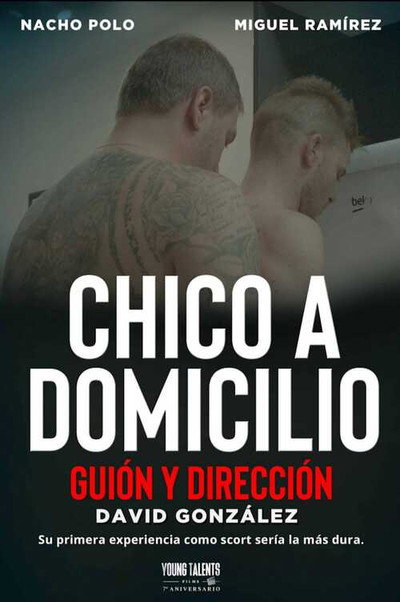 Póster de Chico a domicilio