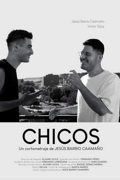 Póster de Chicos