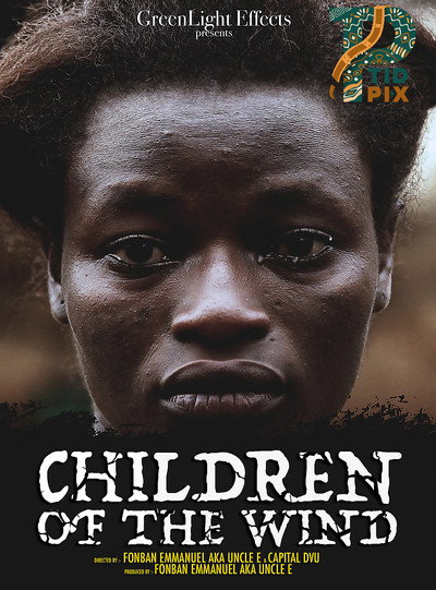Póster de Children of the Wind