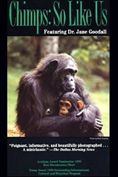 Póster de Chimps: So Like Us