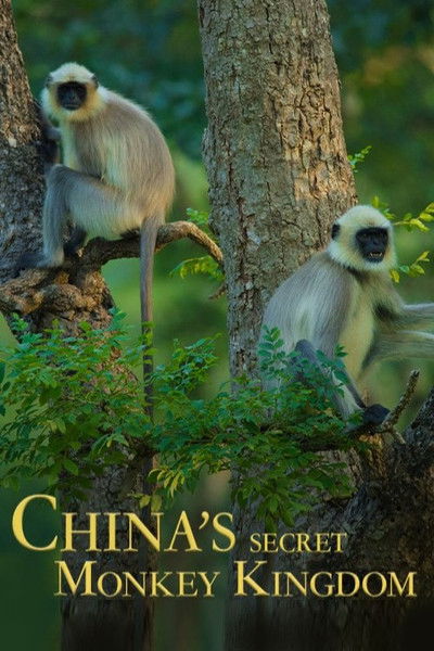 Póster de China's Secret Monkey Kingdom