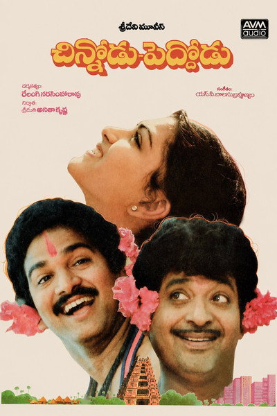 Póster de Chinnodu Peddodu