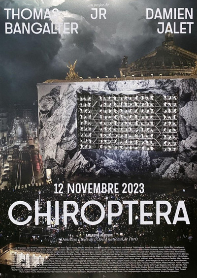Póster de Chiroptera dans la caverne