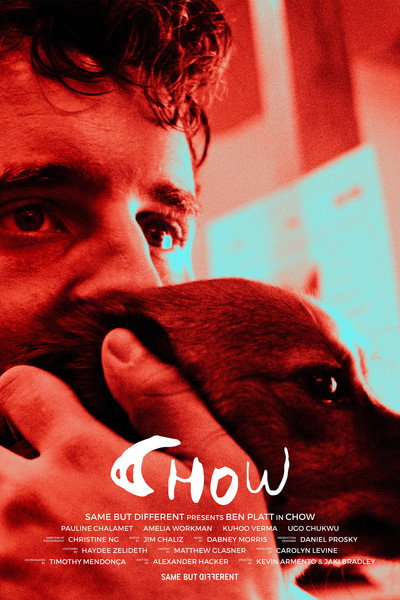 Póster de Chow