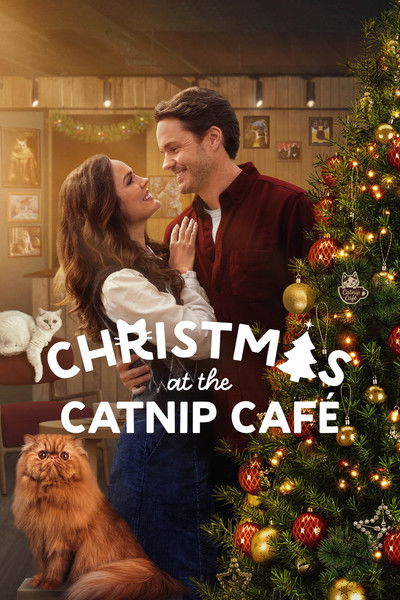 Póster de Christmas at the Catnip Café