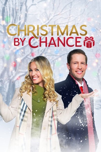 Póster de Christmas by Chance