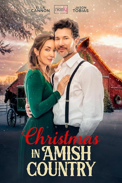 Póster de Christmas in Amish Country