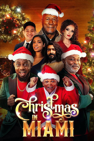 Póster de Christmas in Miami