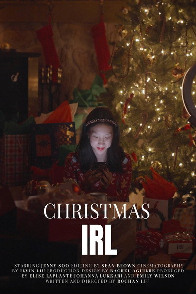 Póster de Christmas IRL