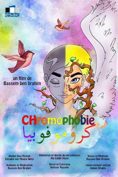 Póster de Chromophobia