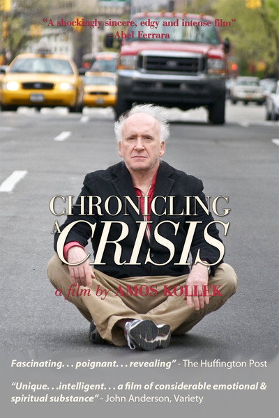 Póster de Chronicling a Crisis