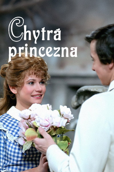 Póster de Chytrá princezna