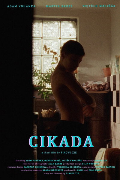 Póster de Cicada