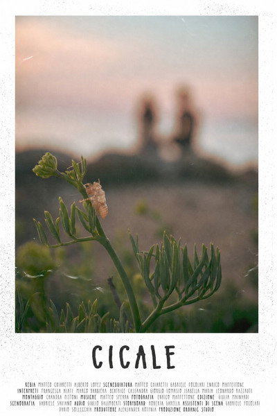 Póster de Cicale