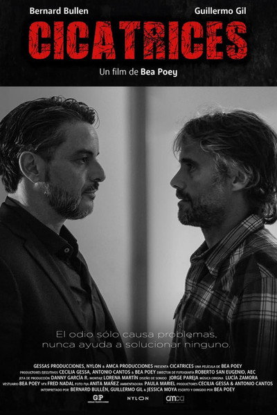 Póster de Cicatrices