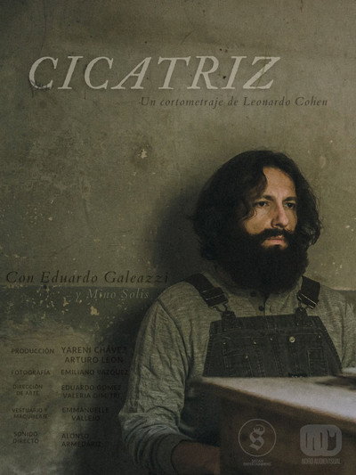 Póster de Cicatriz