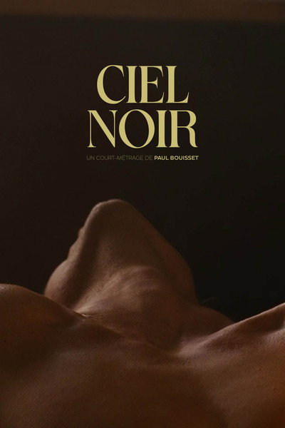 Póster de Ciel noir