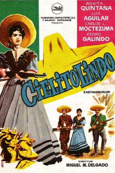 Póster de ¡Cielito lindo!