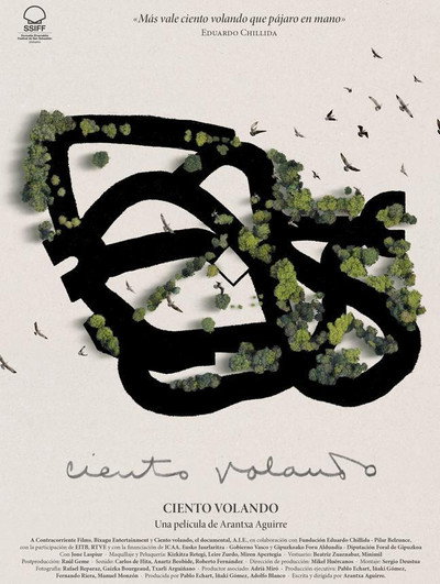 Póster de Ciento volando