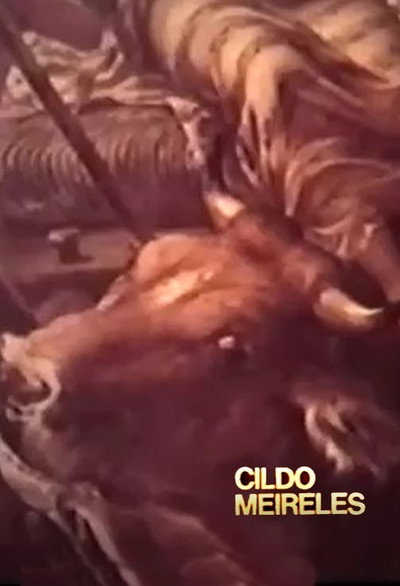 Póster de Cildo Meireles