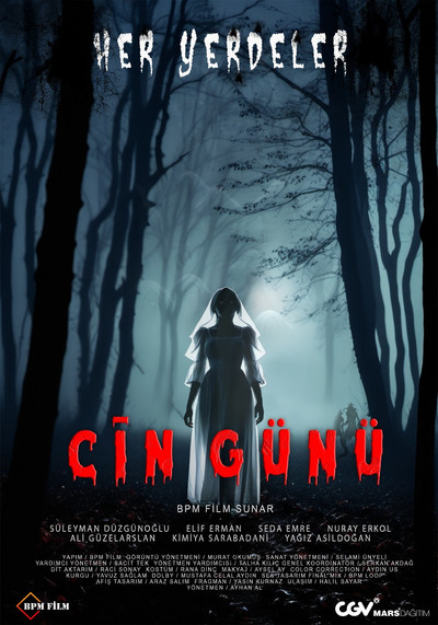 Póster de Cin Günü