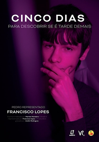 Póster de Cinco Dias