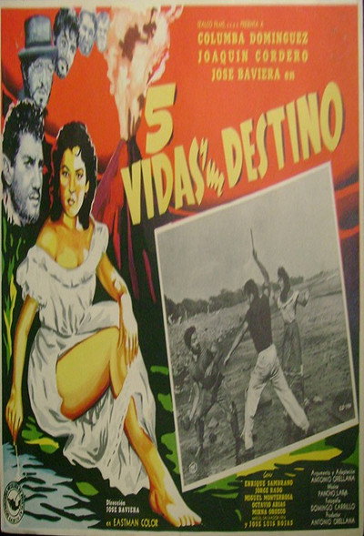 Póster de Cinco vidas y un destino