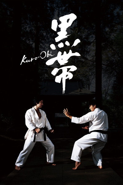 Póster de Cinturón negro (Black Belt)