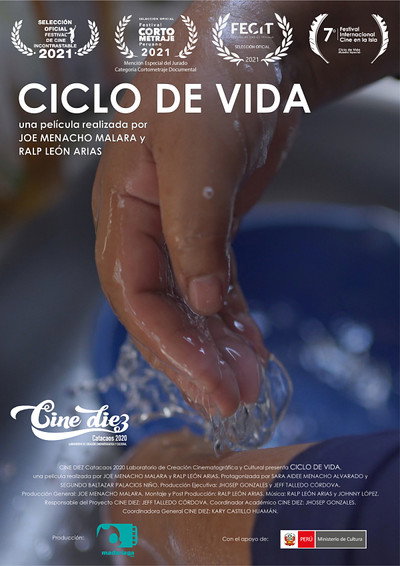 Póster de Circle of life