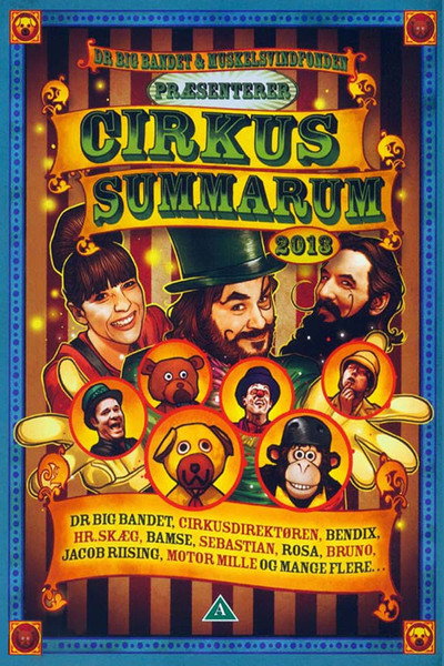 Póster de Cirkus Summarum 2013