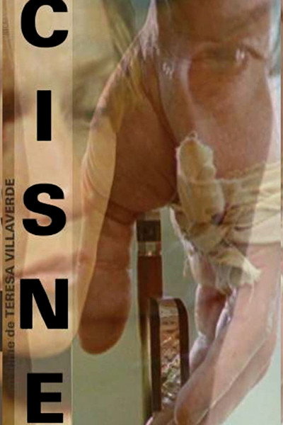 Póster de Cisne