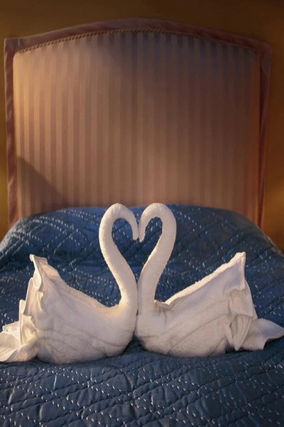 Póster de CitizenM: Swan Song