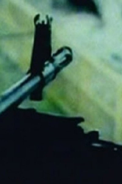 Póster de City killer