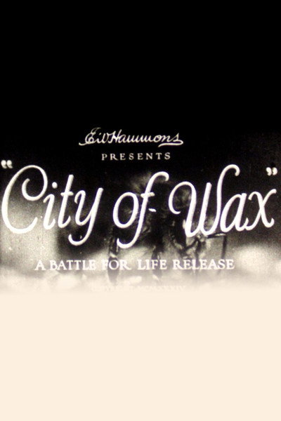 Póster de City of Wax