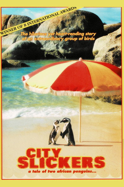 Póster de City Slickers: A Tale of Two African Penguins