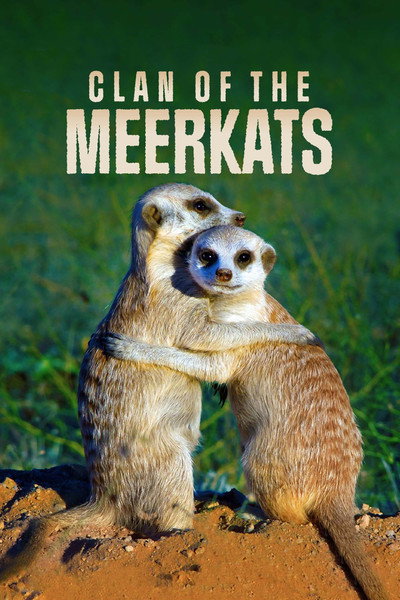 Póster de Clan of the Meerkat