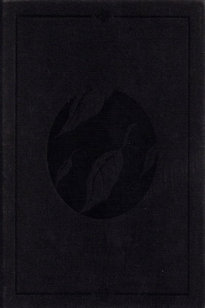 Póster de Clandestine