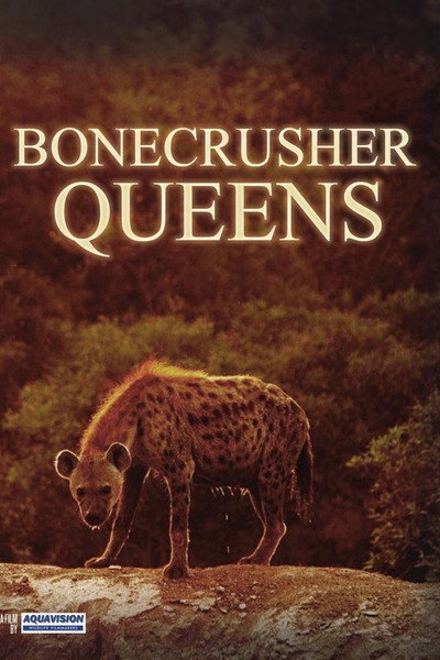 Póster de Clash of the Hyenas