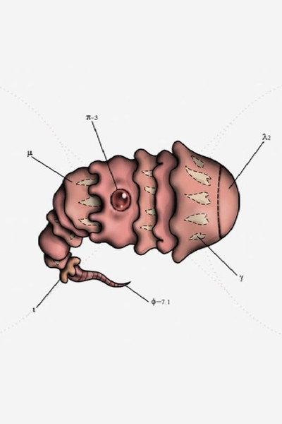 Póster de Classification systématique du vivant extraterrestre