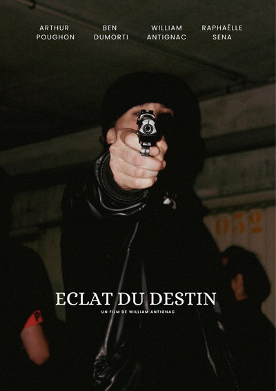 Póster de Éclat du destin