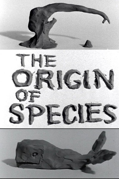 Póster de Clay or the Origin of Species