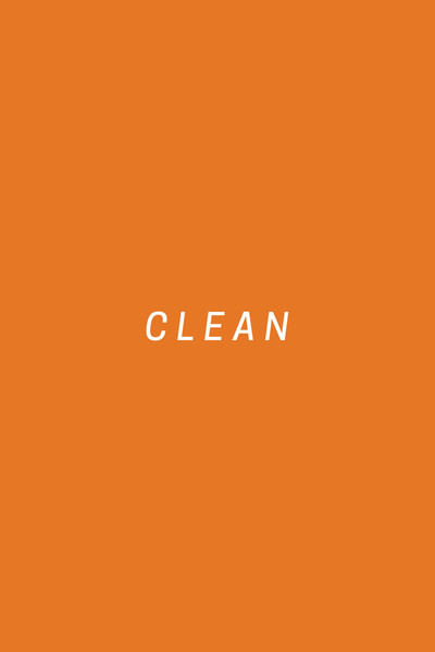 Póster de Clean