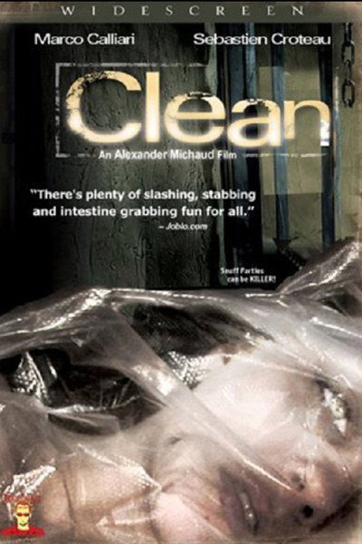 Póster de Clean