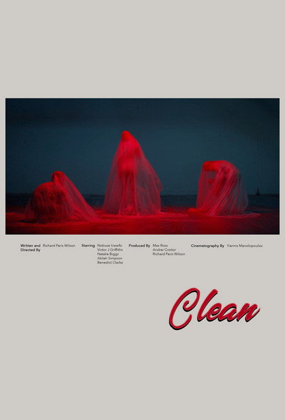 Póster de Clean