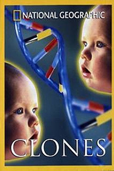 Póster de Clone